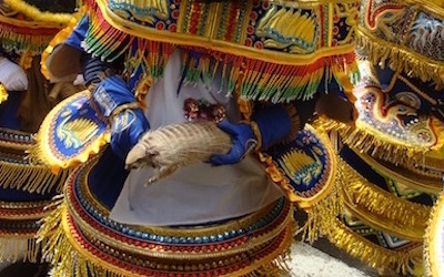 An Andean Hairy Armadillo being used in a Carnival of Oruro costume. Credit: Carmen Julia Quiroga