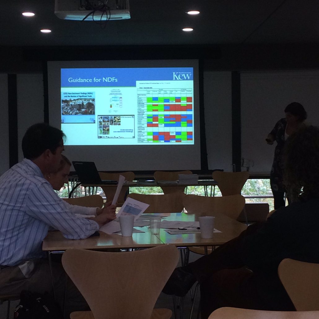 Connecting the dots: trade analysis and policy in the CITES context Noeleen Smyth, UK CITES Plants Scientific Authority, highlights guidance for Non-Detriment Findings