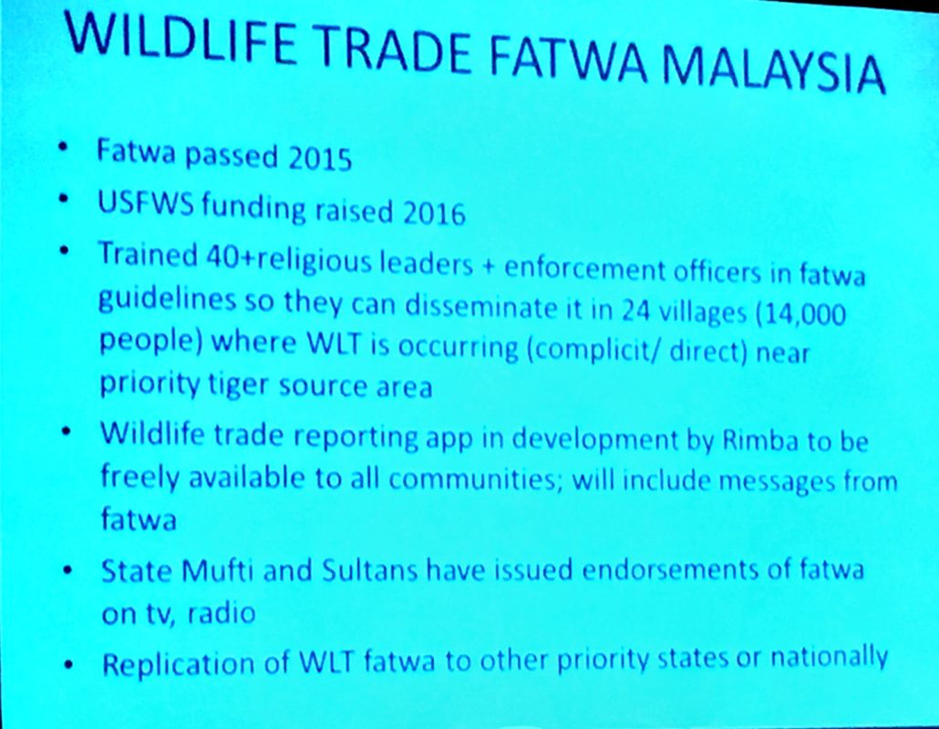 Engaging Religious Partners insights on faith, conservation & environmental stewardship