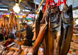 A fish market in Seoul, South Korea. Rodrigo Oyanedel